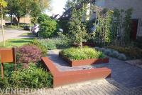 Groene voortuin met fruitbomen en cortenstaal elementen