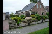 Groene voortuin met veel verschillende soorten planten 1