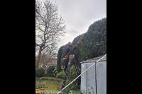 Tuinonderhoud abbonement