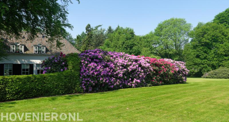 Hoveniersbedrijf G.Bos