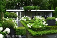 Romantische en klassieke tuin met buxus en witte hortensia's 3