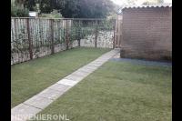 Gazon van graszoden en hedera schutting 1