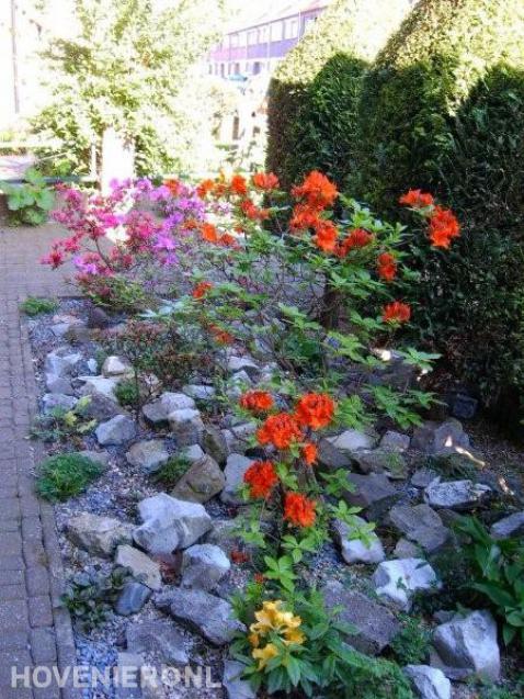 Border met rotsblokken en bloemen met verschillende kleuren