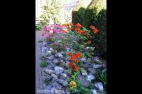 Border met rotsblokken en bloemen met verschillende kleuren