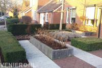 Kleine voortuin met buxushaag en plantenbak