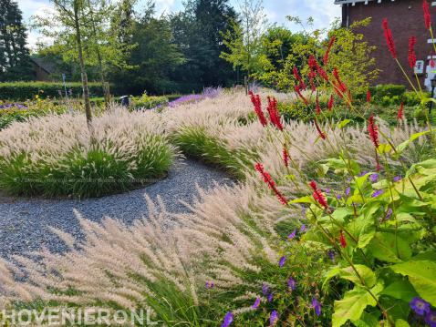 voortuin ontwerpen met siergrassen jaarrond bloem-florera.nl