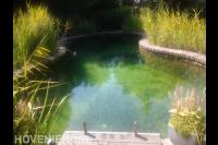 Heldere vijver van bakstenen 1