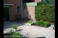 Kleine achtertuin met terras en veel groen 1