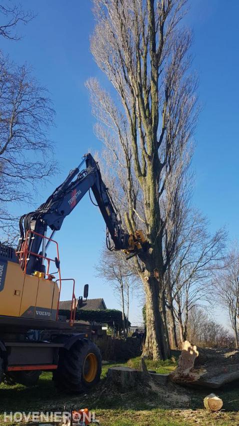 Boom kappen met inzet van kraan met grijper 2