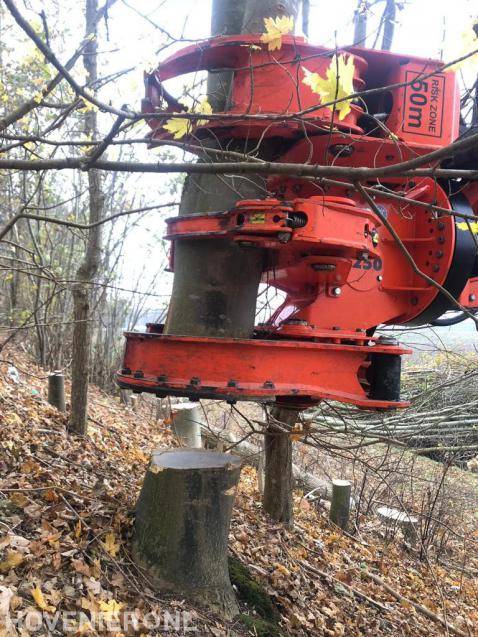 Doorgezaagde boom vasthouden met grijper