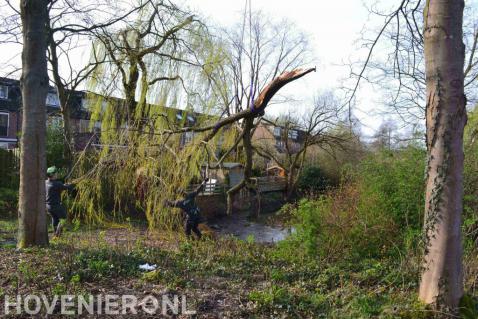 Bomen rooien