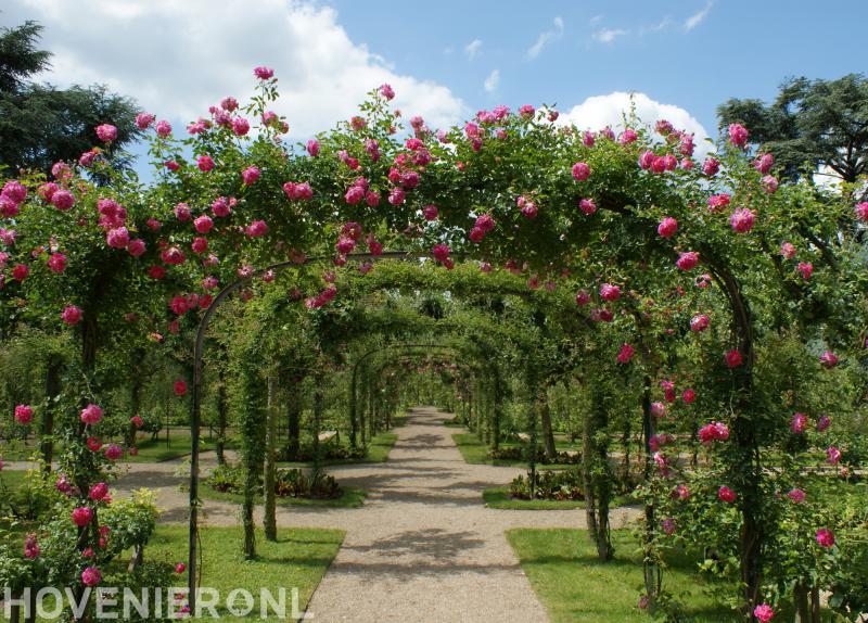 Van Breukelen Groenvoorzieningen