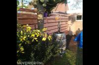 Hoveniersbedrijf Joël Breedveld