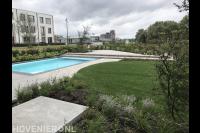 Strakke tuin met zwembad 1