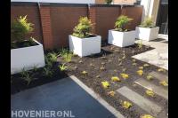 Moderne achtertuin met witte bloembakken