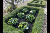 Greenz Tuinen en Projecten