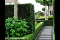 Voortuin met kiezels en heggen