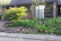 Groene voortuin met veel verschillende planten