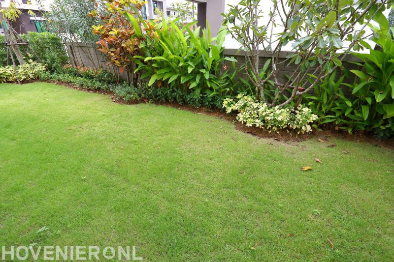 Hagendoorn Tuinen & Sierbestratingen