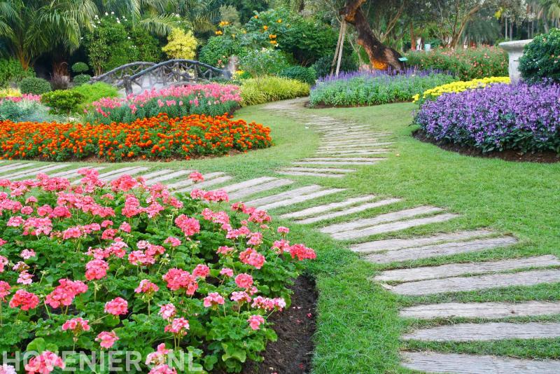 Mennega Groenvoorziening