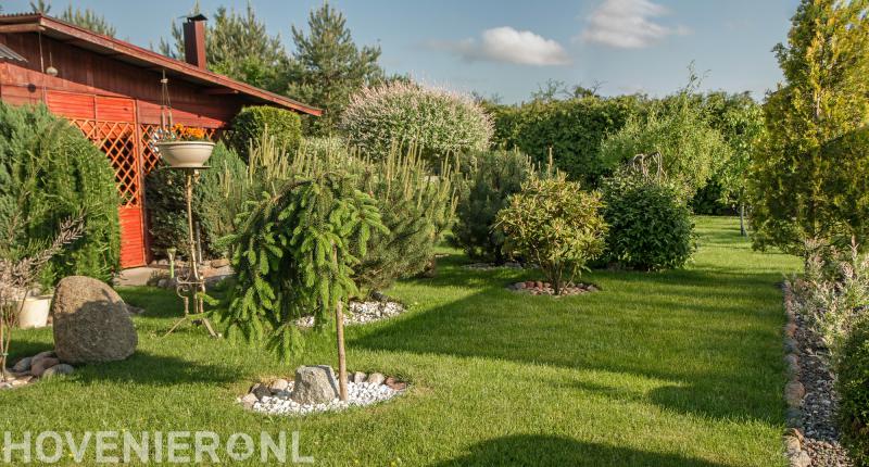 Bas van Egmond Hovenier