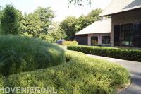 Groene tuin met struiken en siergras bij villa 2