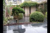 Achtertuin met sierbestrating en veel groen