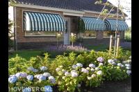 Voortuin met gazon, leibomen, lavendel en hortensia's