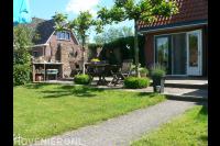 Dakplatanen bij terras