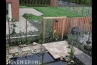 Tuin met vijver, pergola's en schutting van betongaas met klimop 3