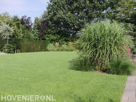 Ruime tuin met gazon en veel groen