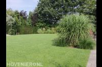 Ruime tuin met gazon en veel groen