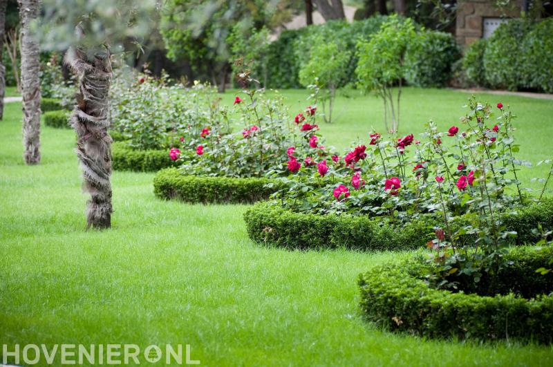 Hoveniersbedrijf Bert van der Pol