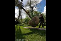 Boomverzorging Van Schagen