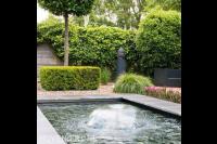 robuuste Vijver in de achtertuin