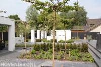 Hoveniersbedrijf Bloemin