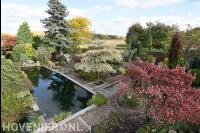 Tuin met grote vijver en veel bomen en groen