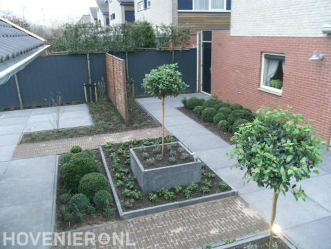 Moderne tuin met grote tegels, plantenbakken en buxusbollen