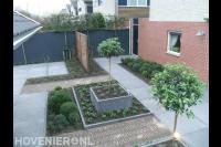 Moderne tuin met grote tegels, plantenbakken en buxusbollen