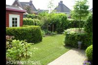 Compacte tuin met klein gazon en veel groen