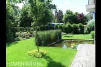 Groene tuin met gazon en vijver