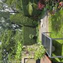 Okkerse Tuinonderhoud