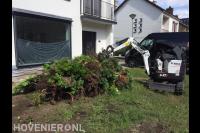 Coniferen verwijderen met minigraver