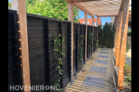 Houten pergola en schutting met klimplanten