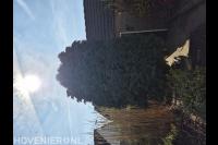 Heins Dienstverlening