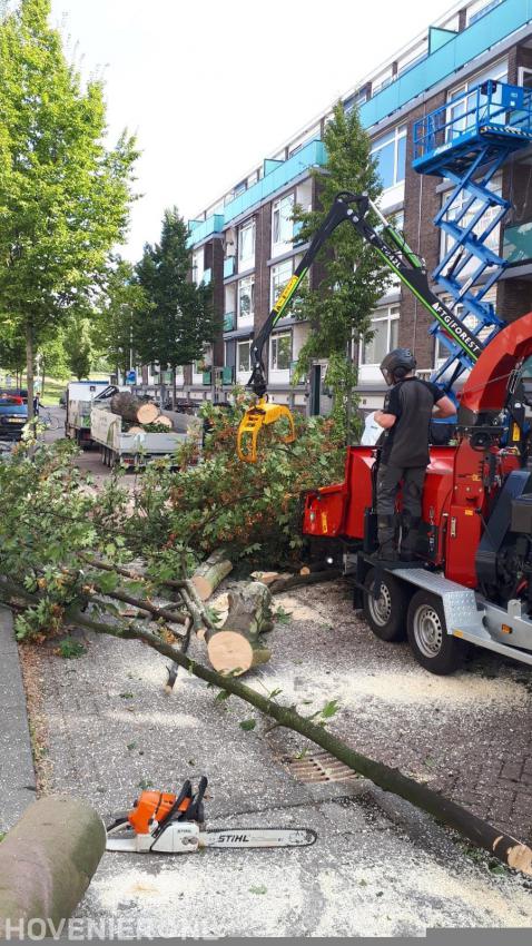 Groenafval afvoeren