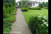 Landschapstuin met groot gazon en veen groen