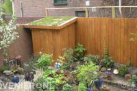 Schuurtje met groendak en schutting van hout