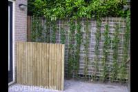 Klimop langs betongaas