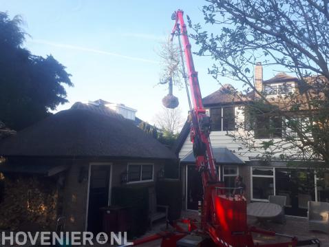 Boom planten mbv telescoopkraan